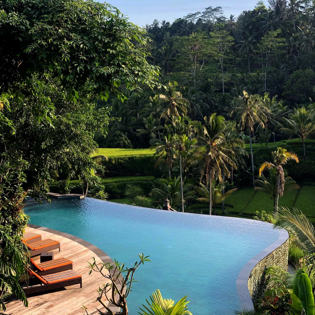Infinity pool overlooking lush rice terraces and tropical jungle in Ubud, Bali, with sun loungers on a wooden deck—an idyllic setting for wellness retreats in Bali.
