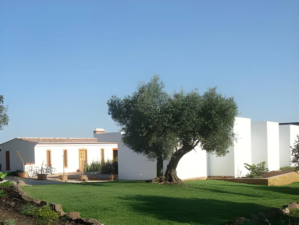Minimalist white villa with natural wood accents, surrounded by a lush green lawn and a large olive tree, set under a bright blue sky
