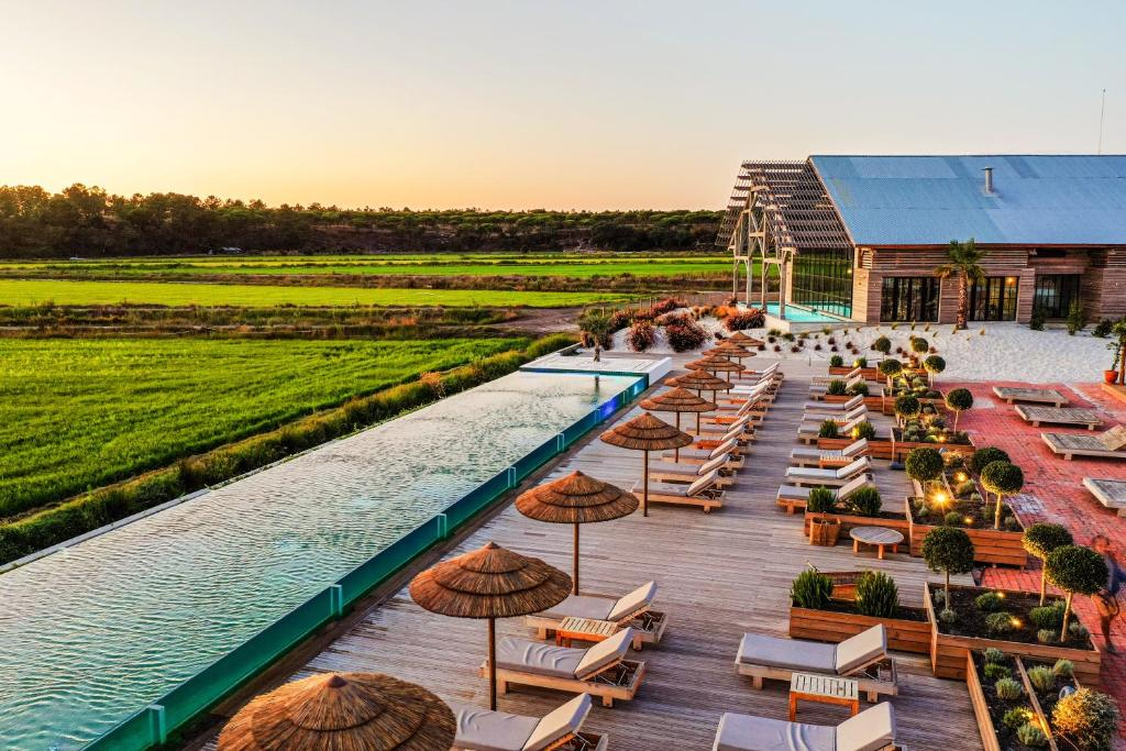 Luxurious resort with a long infinity pool, surrounded by wooden sun loungers and straw parasols, overlooking lush green fields at sunset, with a modern building featuring glass and wood accents in the background.