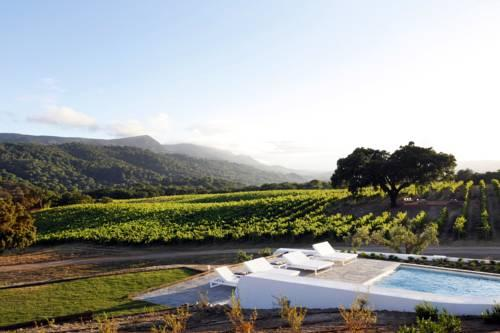 Scenic landscape featuring a luxurious pool with white sun loungers, surrounded by vineyards and open fields, set against a backdrop of rolling hills and a bright, clear sky