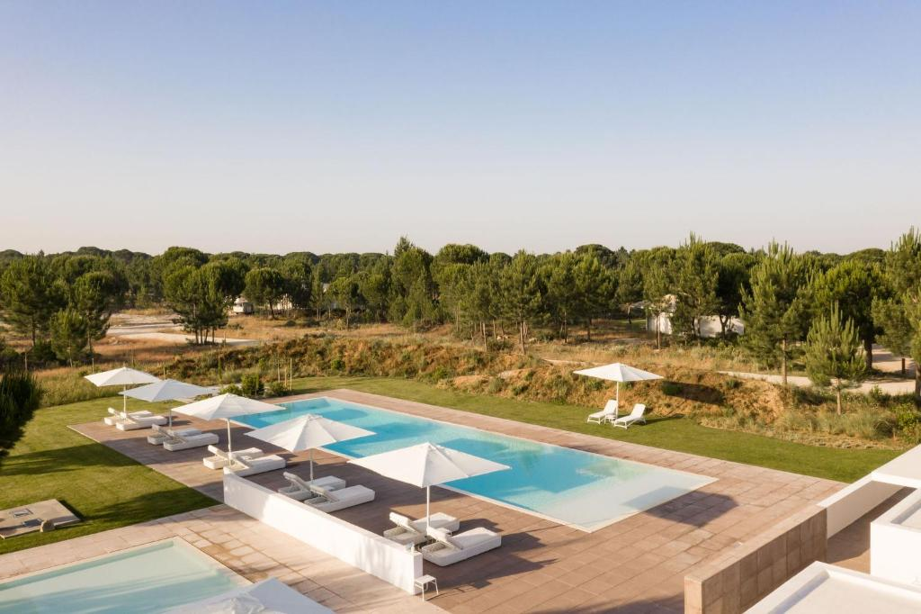 Modern outdoor pool area featuring two rectangular swimming pools with white sun loungers and umbrellas, surrounded by lush greenery and pine trees under a clear sky.