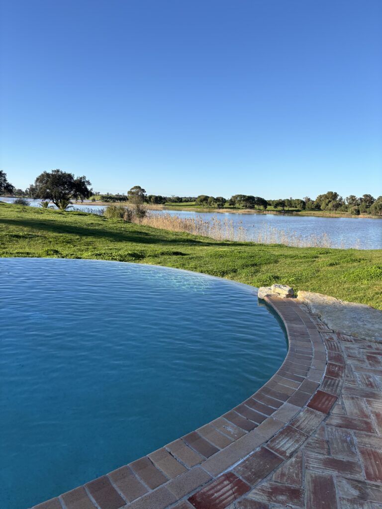Lake at Herdade dos Grous wine estate in Alentejo Portugal under a bright blue sky with several white storks flying overhead. The calm water reflects the open countryside landscape typical of this rural Alentejo vineyard setting