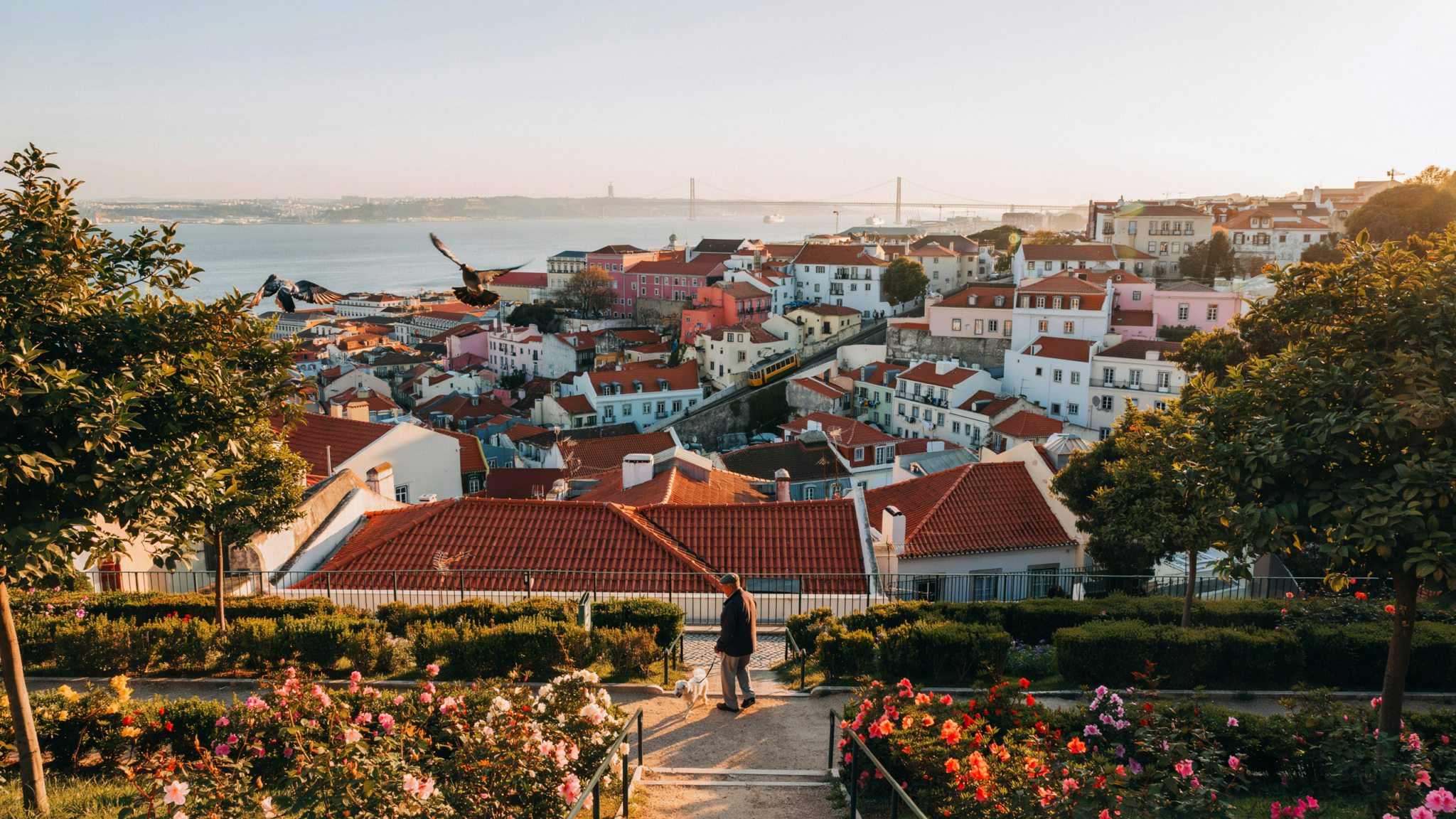 Panoramic view of Lisbon rooftops and the Tagus River at golden hour