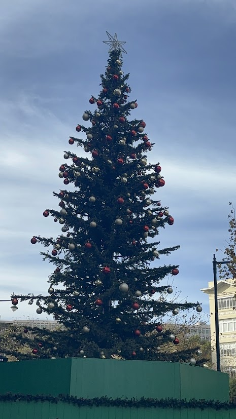 Large outdoor Christmas tree decorated with red and silver ornaments and a star topper against cloudy sky.