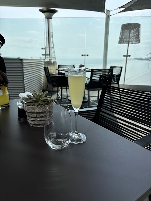 Elegant waterfront patio with cocktail drink, succulent plant, and ocean view through glass barriers